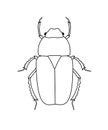 Drawing Art of Beetle Insect Royalty Free Stock Photo