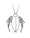 Drawing Art of Cockroach Insect