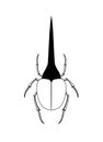 Drawing Art of Hercules Beetle Insect