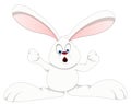 Bunny - Cartoon Character- Vector Illustration Royalty Free Stock Photo