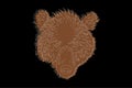 Drawing of a bear. Bear head full face. Simple linear drawing of a bear. Wild animal