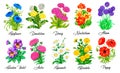 Design set of Cornflower, Daisy, Nasturtium, Pansy, Aster, Camomile and other flowers Royalty Free Stock Photo