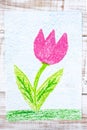 Drawing: beautiful flower, pink tulip