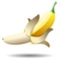 Drawing of a beautiful, ripe banana fruit. Vector illustration isolated. Royalty Free Stock Photo
