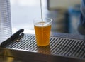 Drawing beer in a plastic cup Royalty Free Stock Photo