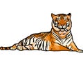 Drawing Bengal Tiger locking or big cat