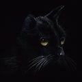 Drawing Of Black Cat With Vivid Eyes Royalty Free Stock Photo