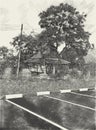 Drawing black and white of pavilion in forest