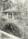 Drawing black and white of pavilion in nature garden