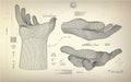 All wireframe hand