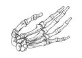 Drawing Of The Bones Forming The Left Human Hand