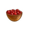 drawing bowl with berries of cranberry