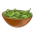 drawing bowl of spinach leaves