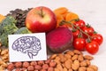 Drawing of brain and healthy food for power and good memory, nutritious eating containing natural minerals