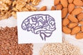 Drawing of brain and healthy food for power and good memory, nutritious eating containing vitamins and minerals Royalty Free Stock Photo