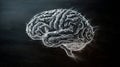 Drawing of a brain using chalk on a darkboard, symbolizing education and the exploration of knowledge Royalty Free Stock Photo