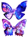 Drawing of bright butterfly, galaxy pink blue sky