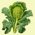 Drawing of broccoli plant on yellow background