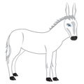 Drawing of the burro