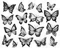 Drawing butterflies. Stencil butterfly, moth wings and flying insects isolated vector illustration set Royalty Free Stock Photo