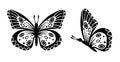 Drawing butterfly. Stencil butterfly, moth wings and flying insects. Butterflies tattoo sketch, fly insect black hand