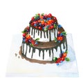 Drawing of a cake with chocolate and berries. Sweet dessert.