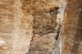 Prehistorical drawing on a cave wall