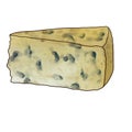 drawing cheese roquefort isolated at white background