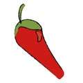 Drawing chili pepper vegetable icon