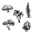 Drawing collection of 5 trees sketch illustration