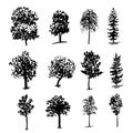 Drawing collectiondifferent types of trees ink sketch illustration