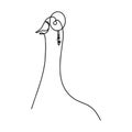 Drawing a continuous line. Goose on white isolated background