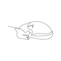 Drawing a continuous line of a sleeping cat.