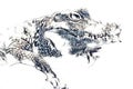 Drawing of crocodile - hand sketch of reptile, art illustration for design Royalty Free Stock Photo