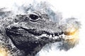 Drawing of crocodile - hand sketch of reptile, art illustration for design Royalty Free Stock Photo