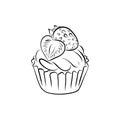 Drawing of a cup cake, vector illustration isolated on white background Royalty Free Stock Photo