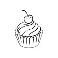 Drawing of a cupcake sketch, vector illustration isolated on white background