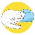 Drawing of a cute white sleeping cat lying with its cheek on the pillow. Color illustration of an animal with simple