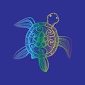 Drawing decorative turtle Royalty Free Stock Photo