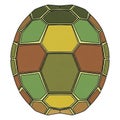 Drawing depicting a turtle shell pattern with interconnected pentagons Royalty Free Stock Photo