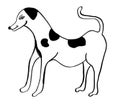 Drawing of a dog. Black and white dog drawing in comic style. Pet, friend, love, lovely, animal.