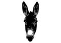 Drawing of Donkey head with white background