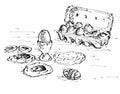 Drawing of a Dozen Eggs