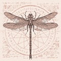 Drawing of dragonfly on an abstract background Royalty Free Stock Photo