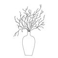 Drawing of dry shrub branches in a decorative vase, hand-drawn, linart