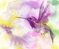 Drawing, effect of a watercolor, hummingbird of lilac color