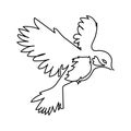 Drawing elements of flying birds on white background .Vector Royalty Free Stock Photo