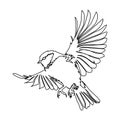 Drawing elements of flying birds on white background. Vector Royalty Free Stock Photo