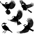 Drawing elements of flying birds on white background .Vector Royalty Free Stock Photo