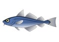 Drawing of Fish with white background Royalty Free Stock Photo